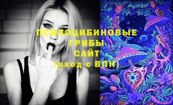 тгк Верея