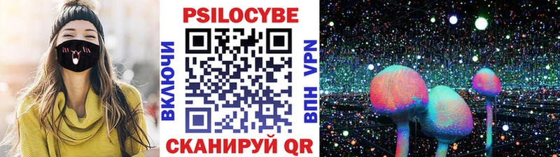 OMG   Калтан  Псилоцибиновые грибы Psilocybine cubensis 